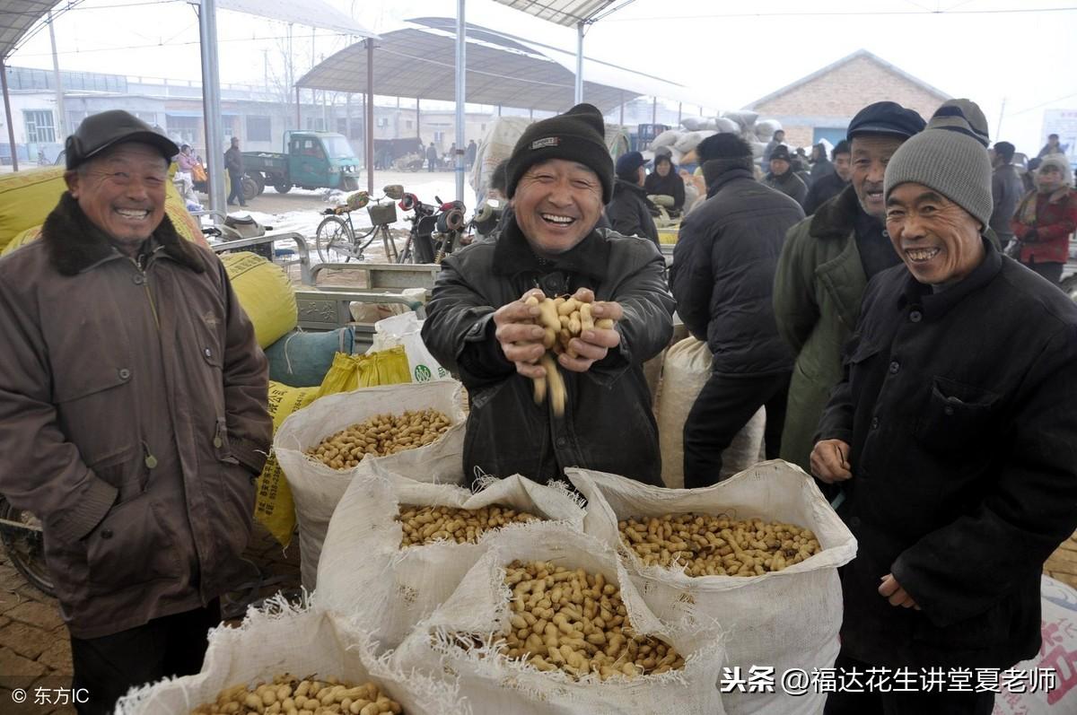 山东花生价格最新行情，科技引领，开启未来市场新篇章