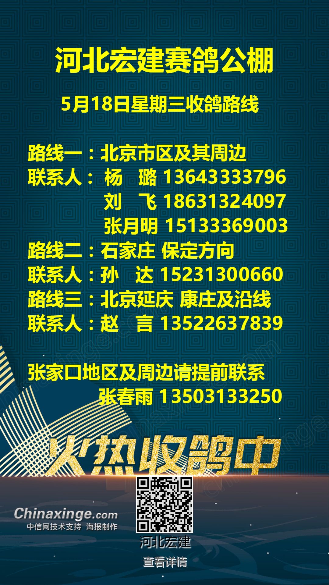 宏建公棚最新公告🌟揭秘，不容错过的资讯！