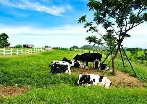 咪咪爱最新网站，探索、体验与科普的娱乐乐园
