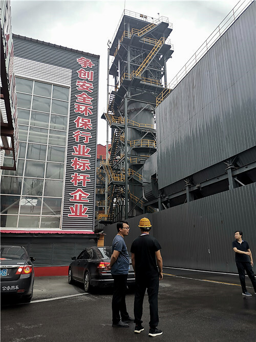 沙河玻璃网最新行情揭秘，巷弄深处的惊喜发现