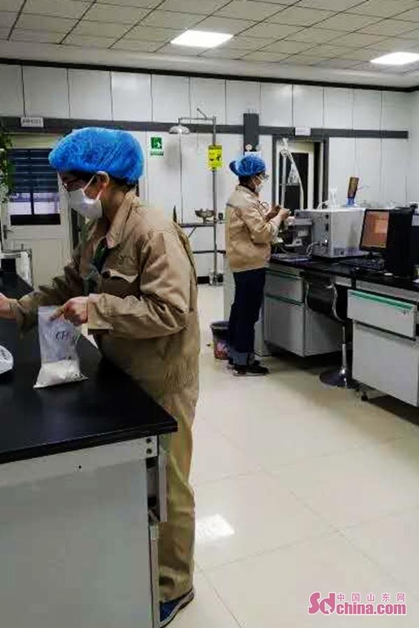 兖州最新招聘信息全面概览
