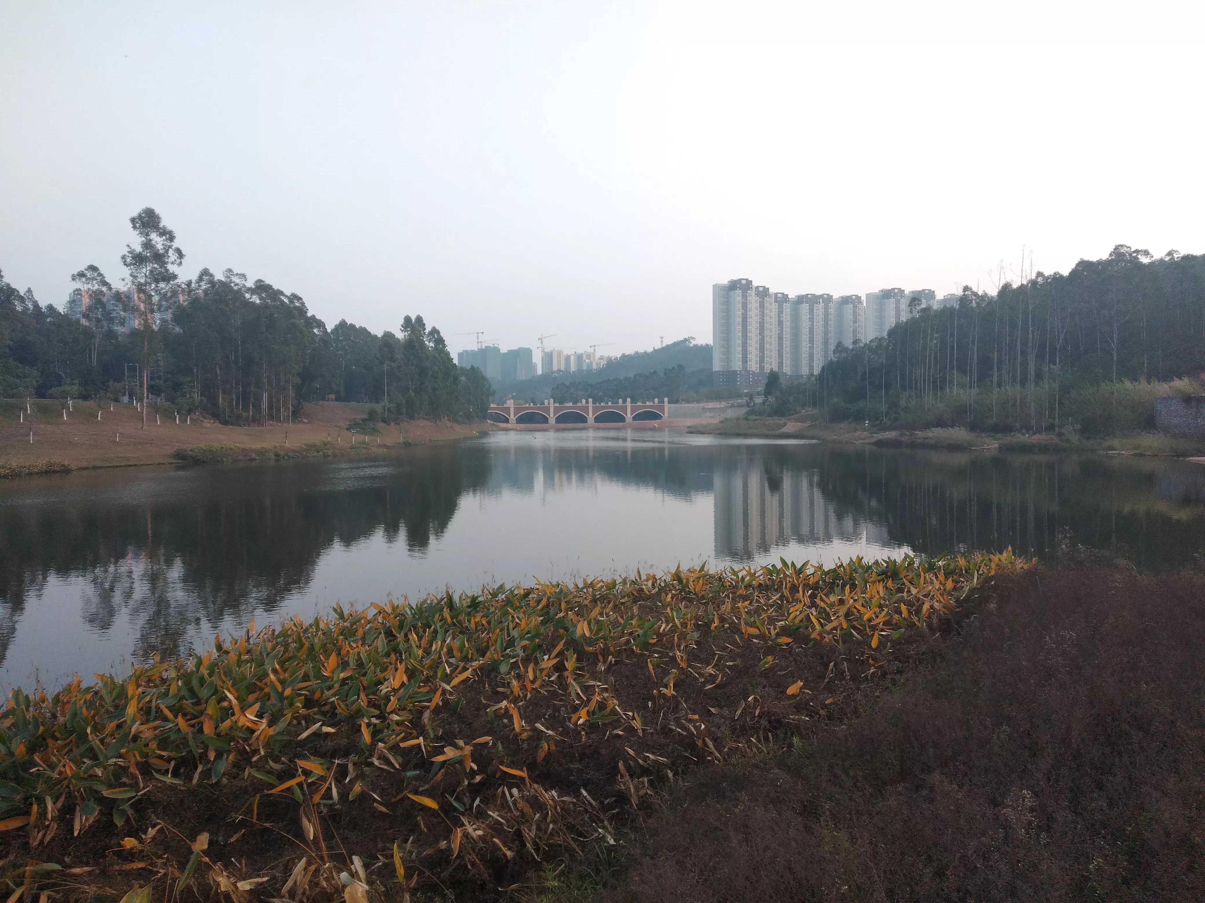 清远北部万科城最新房价走势及分析