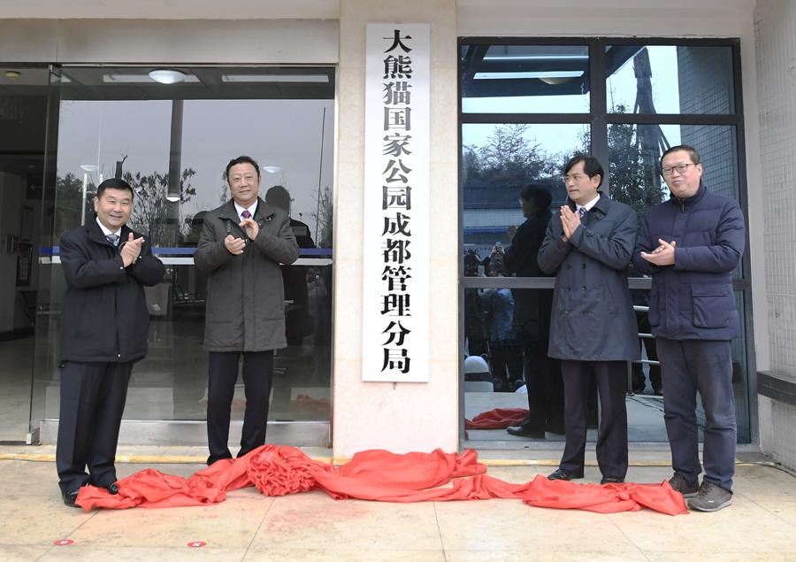 国家最新新闻动态更新