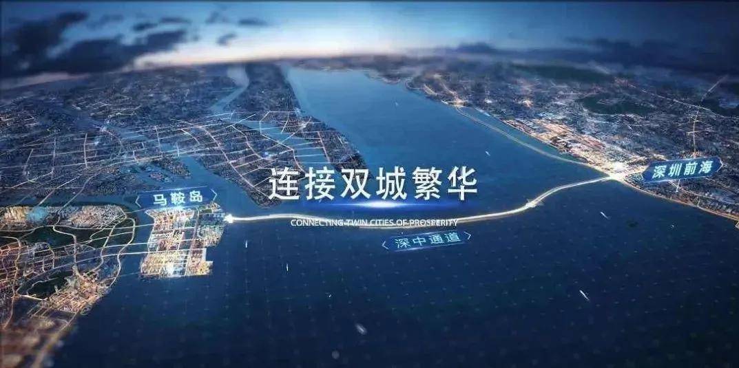 中业岛夏日趣事与最新动态