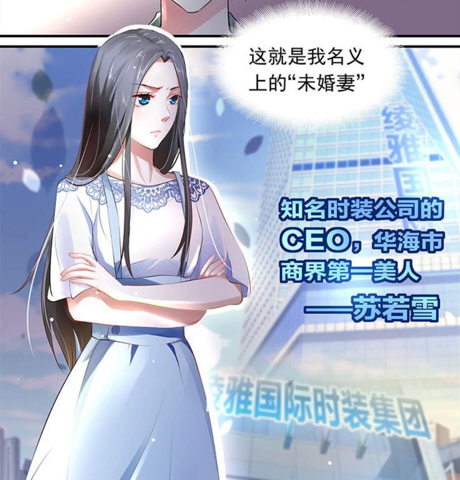 沈浪苏若雪