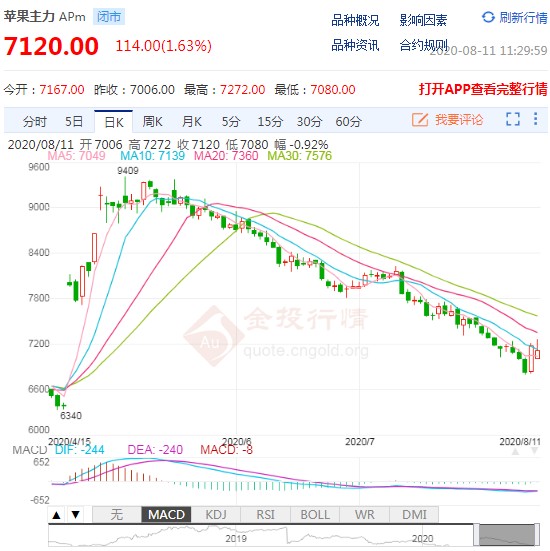 苹果期货今日最新消息概览