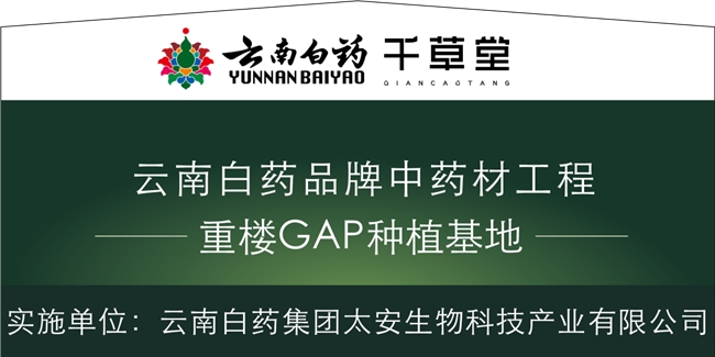 云南白药招聘网最新招聘信息及小巷特色小店探秘