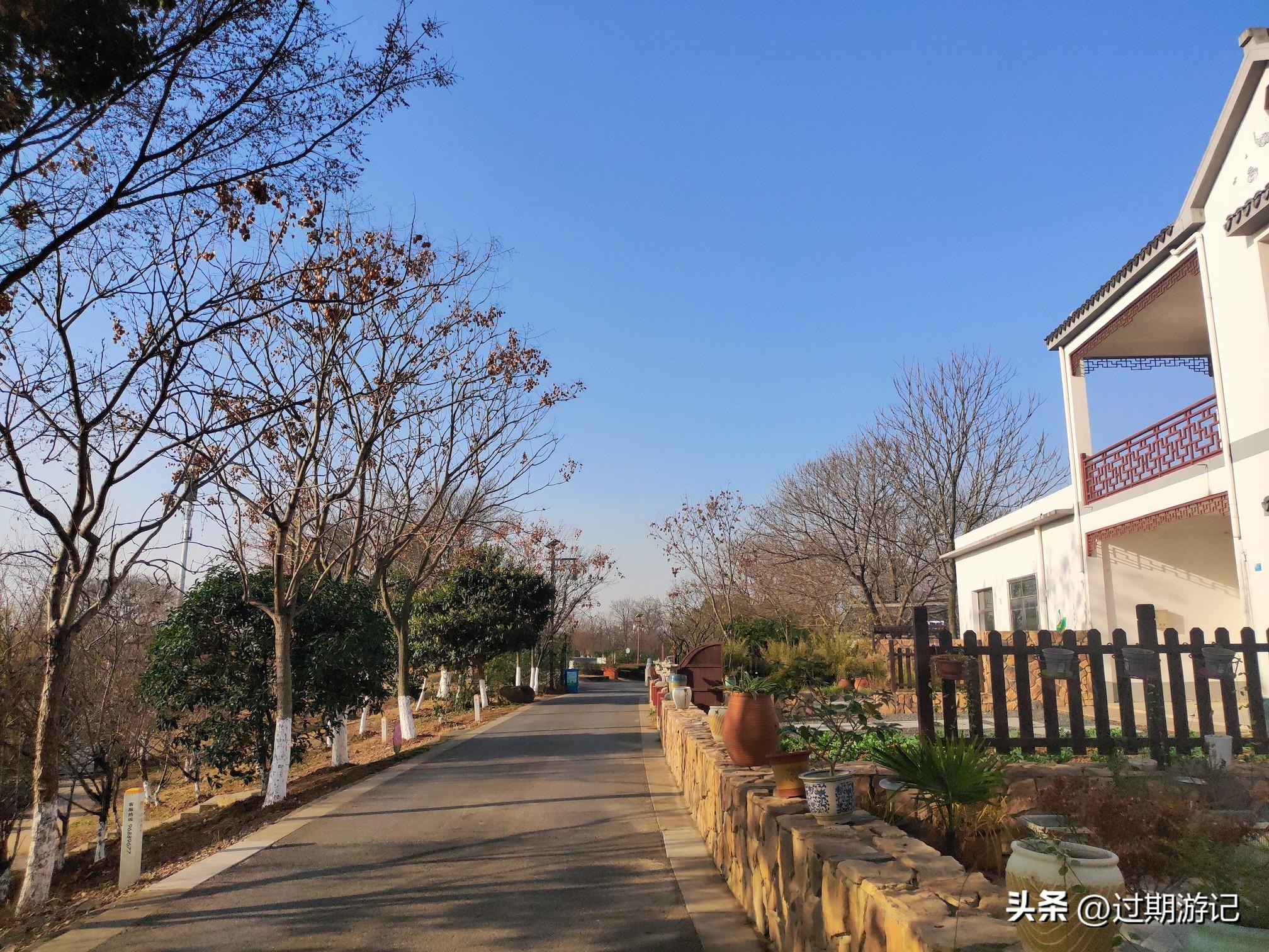 南京外地车最新规定，远离喧嚣，心灵之旅的邀请