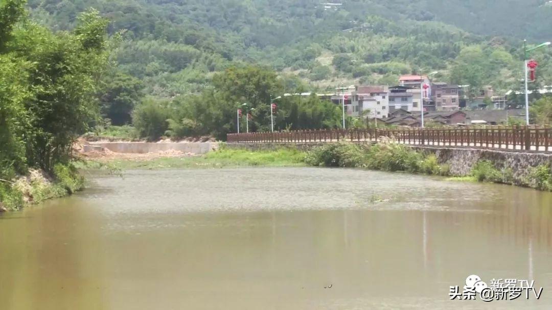 全国最新生猪价格表与探索自然美景的旅行之旅
