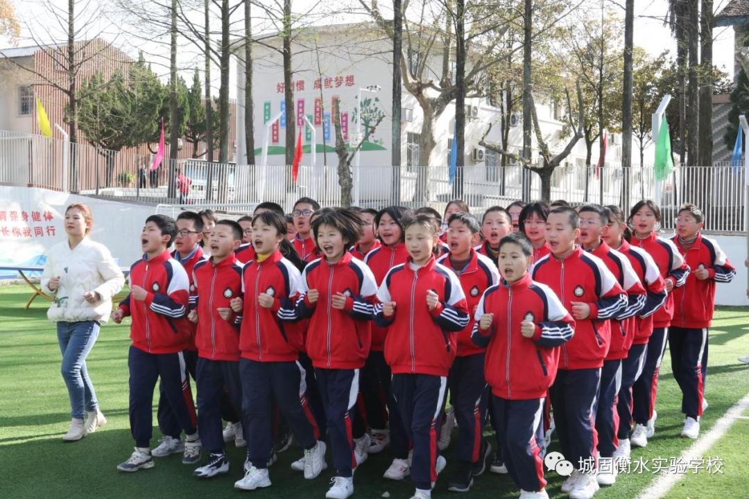 衡水最新招聘信息全面概览