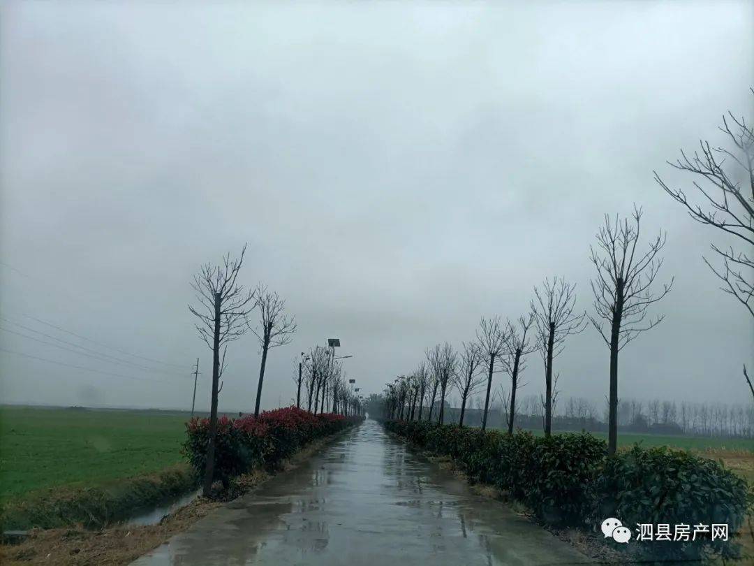 泗县最新规划图,泗县最新规划图，一场探索自然美景的旅行邀请