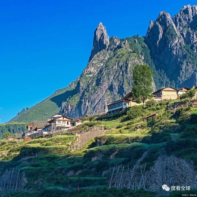 平南最新新闻，拥抱自然，内心宁静之旅启程