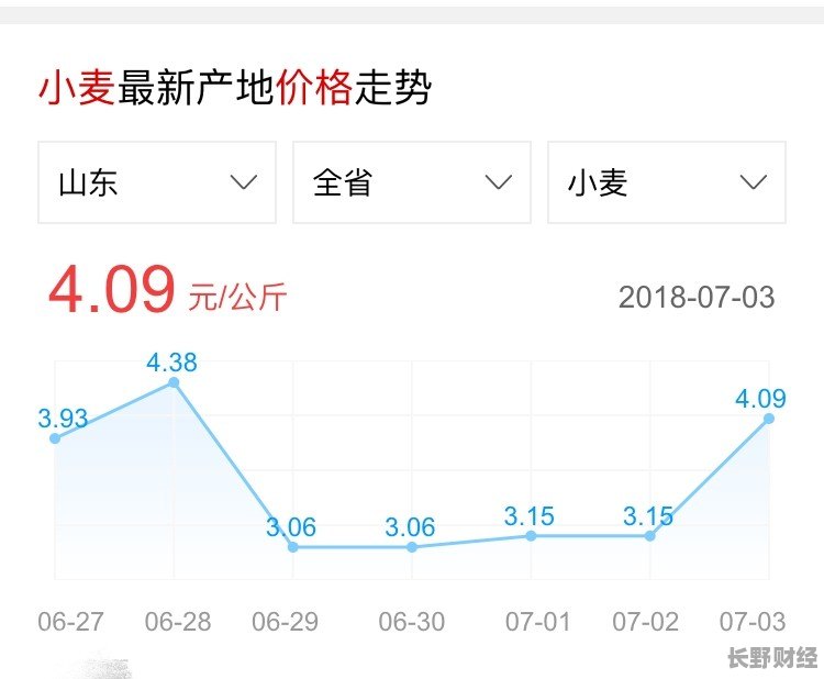 山东今日小麦最新价格及市场走势深度分析