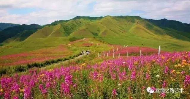 凯普生物最新消息，自然美景探索之旅的心灵洗礼与重生体验
