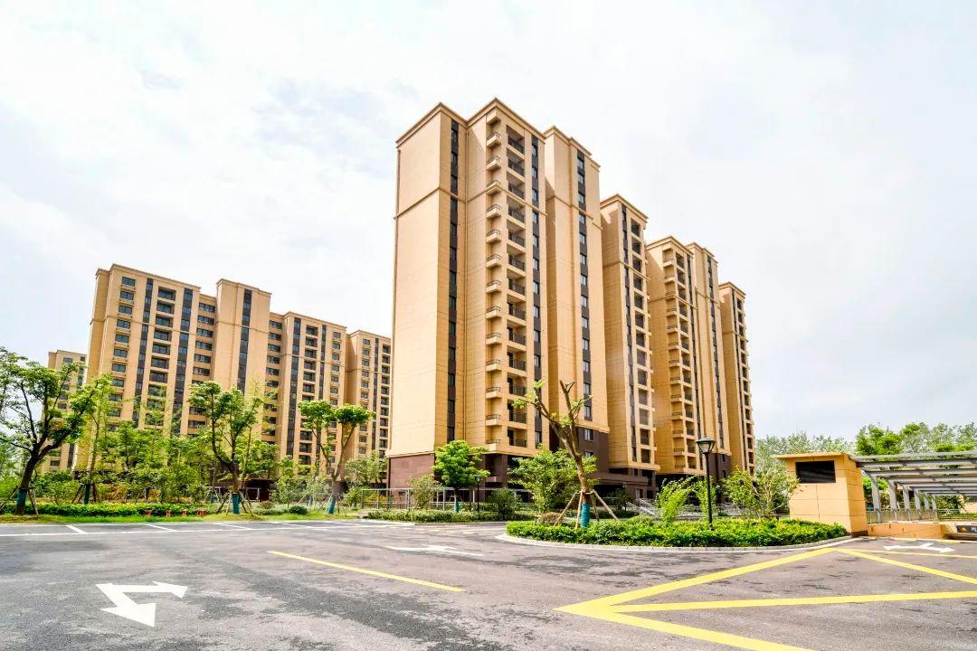 浦东建设最新动态，详细步骤指南与最新消息速递