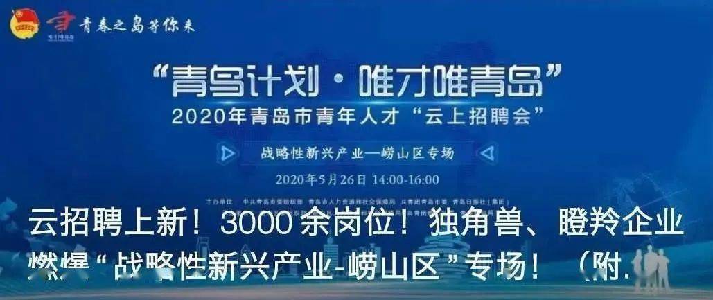叶集招聘网最新招聘，时代脉搏与人才汇聚交汇点