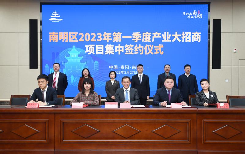 东莞房产拍卖最新动态，热潮席卷全城！