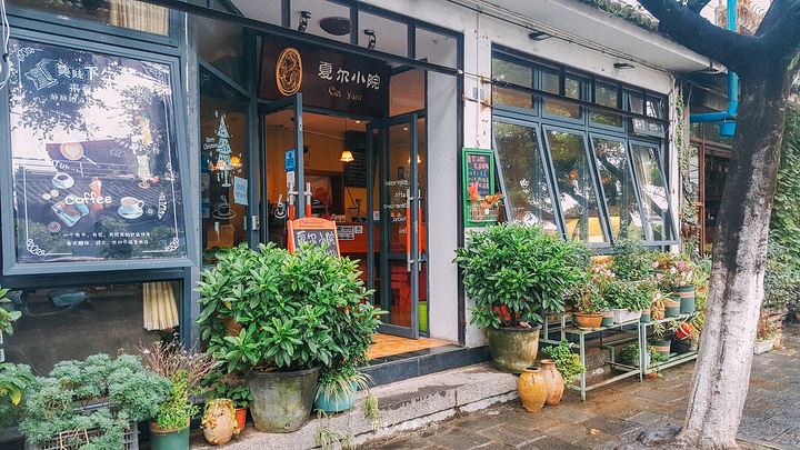 探索最新17025版本，小巷深处的独特风味小店揭秘