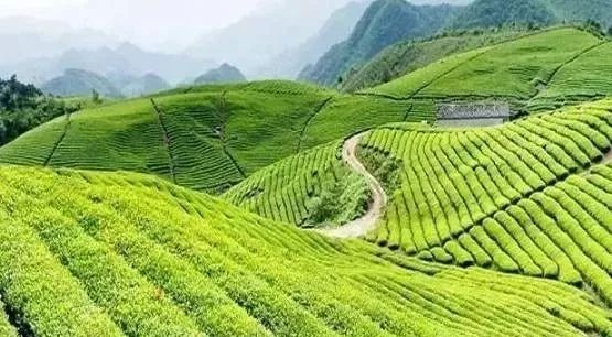 董家口搬迁最新动态，启程自然美景之旅