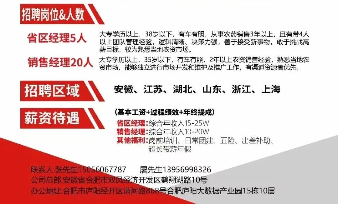 胶南临港最新招聘信息，时代的脉搏与人才的交汇舞台