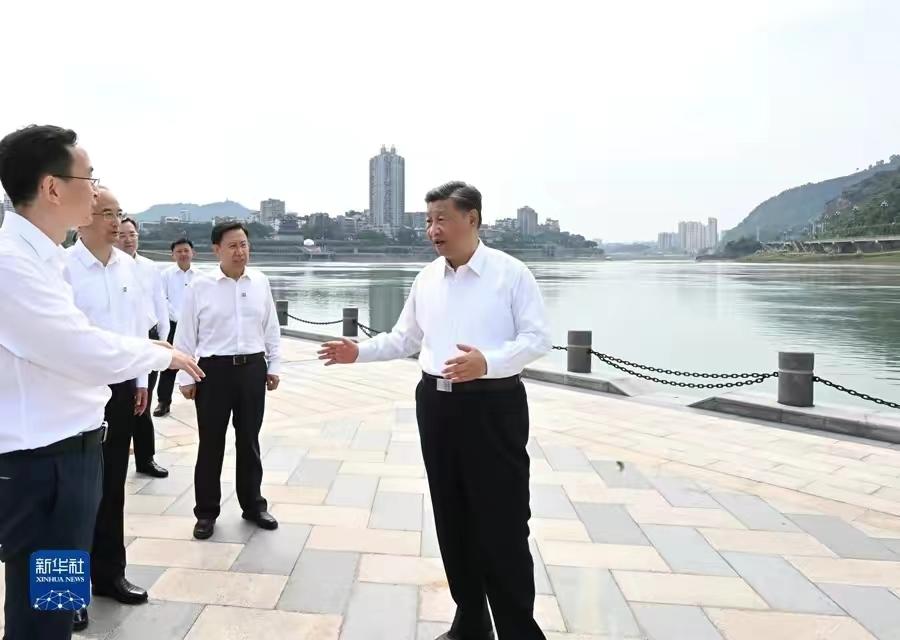 最新机构调研排行榜，变化带来自信与成就，学习铸就成功之路