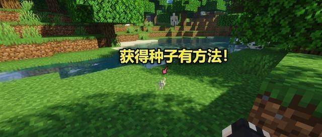 自信的力量展现