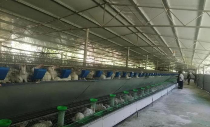 建养殖场的最新政策解读
