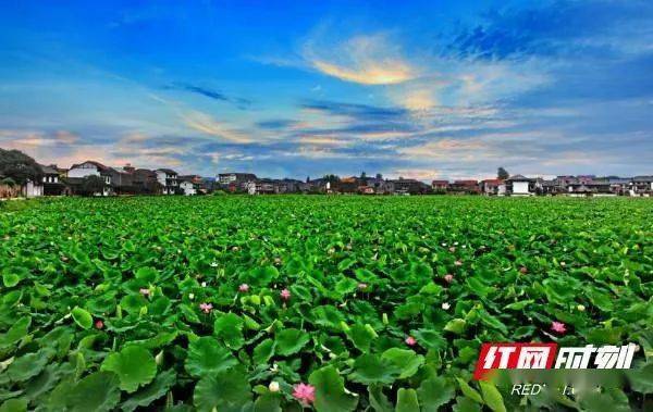大埔县最新人事任免，自然美景探索之旅启动