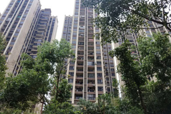 自然美景的探索之旅 第2页