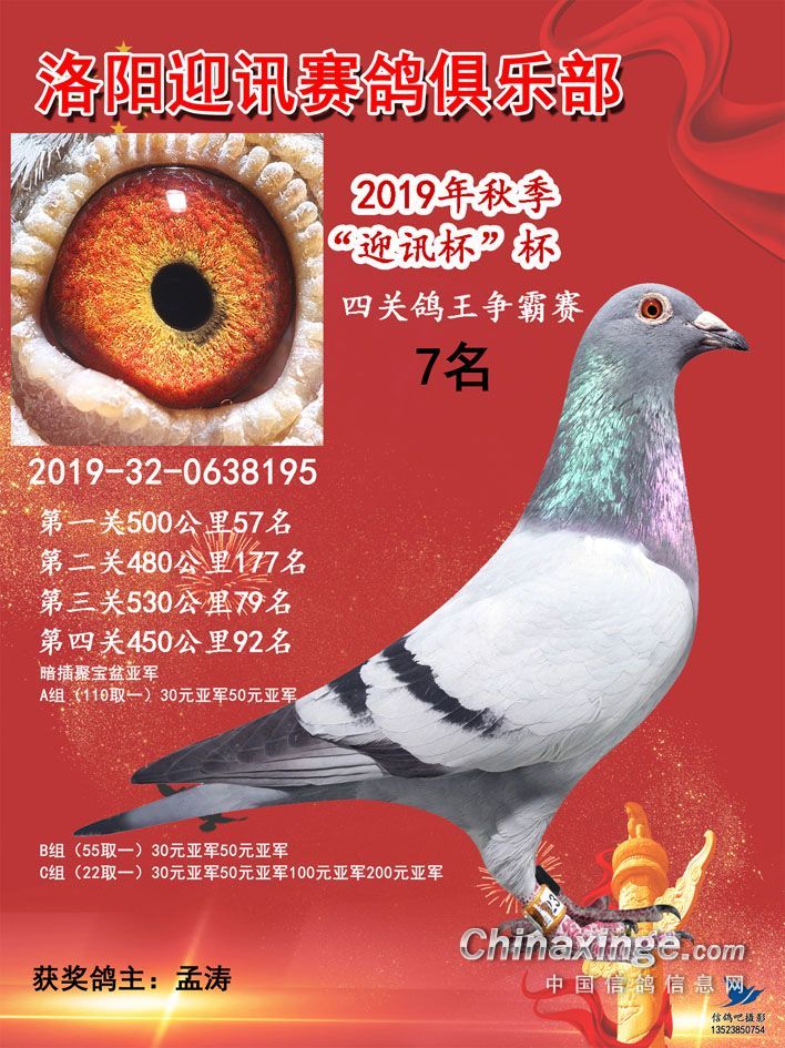 科技革新引领赛鸽新纪元体验（或可简化为“赛鸽科技革新体验”）