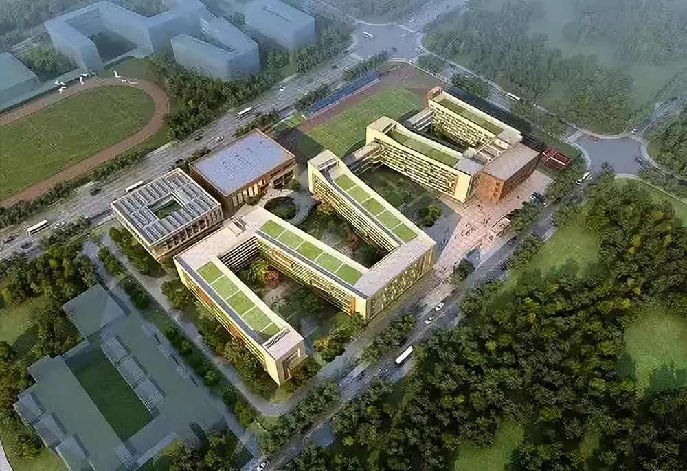下沙大学城北最新动态，自然美景的探索之旅