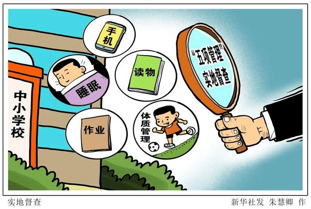 关于最新进展的多角度观点分析深度解析