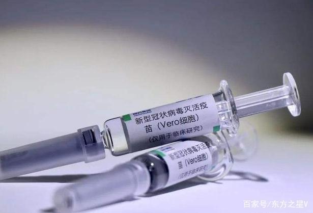 中国疫苗最新动态与小巷深处的神秘小店揭秘