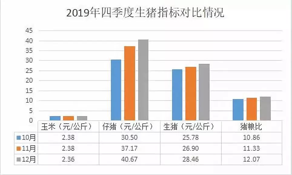 云南最新猪价格行情，科技与生活的融合之道