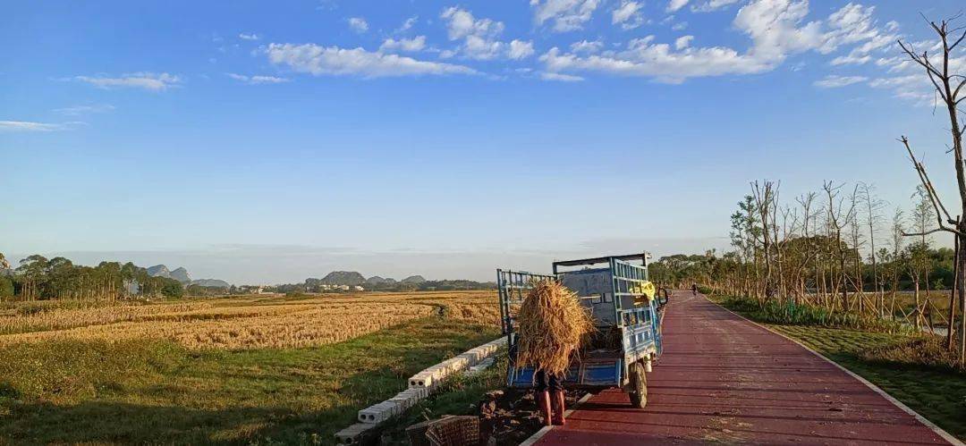 高血压最新疗法与自然美景的治愈之旅探索