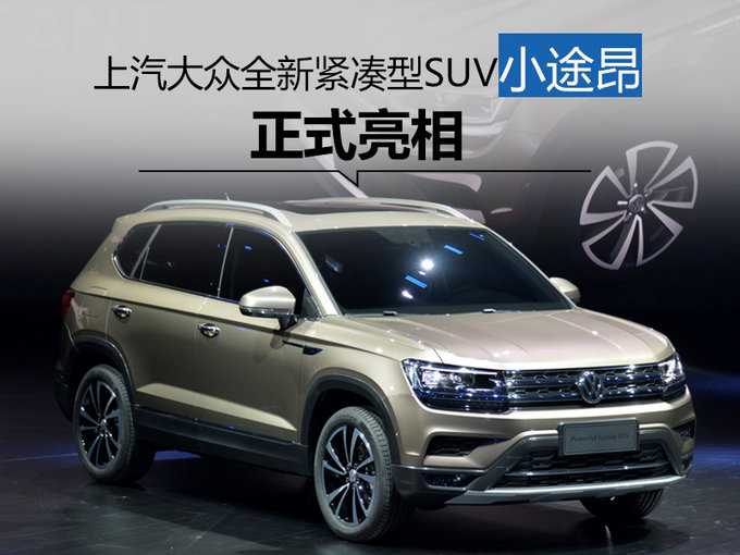 时代瞩目焦点，小途昂最新动态揭秘