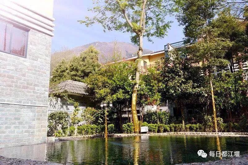 突泉最新房源，探索自然美景的旅行，寻找内心的平和居所