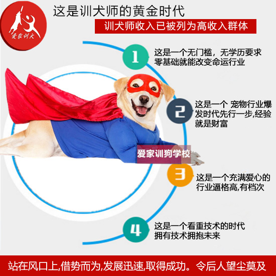 最新训犬员招聘信息发布✨
