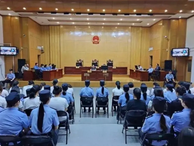 中级法院最新案件，心灵与自然的美景之旅探究