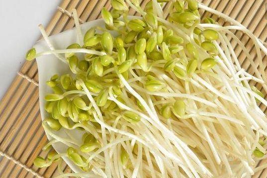 最新毒豆芽菜背后的故事，探寻自然美景，寻找内心平和之旅