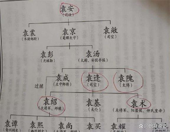 袁氏家族新篇章揭晓，最新消息一览