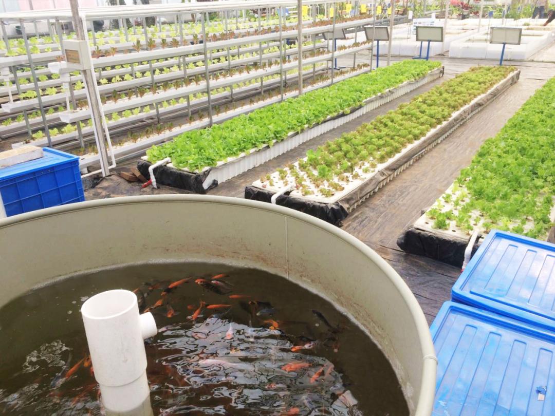 云农场引领农业变革，开启智慧农业新时代最新动态