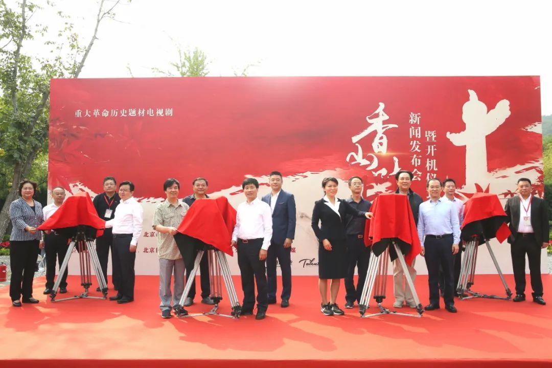 不容错过的电影与剧集盛宴，最新影视推荐！