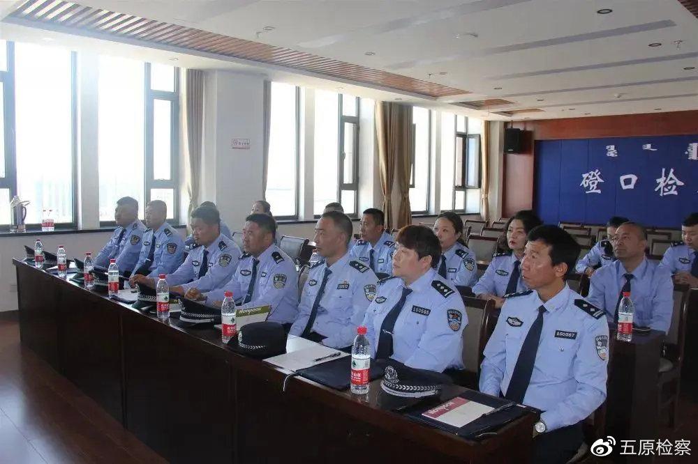 最新QQ版使用指南，轻松完成任务与学习新技能的秘诀
