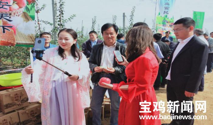 麟游吧最新动态，温馨有趣的日常故事更新