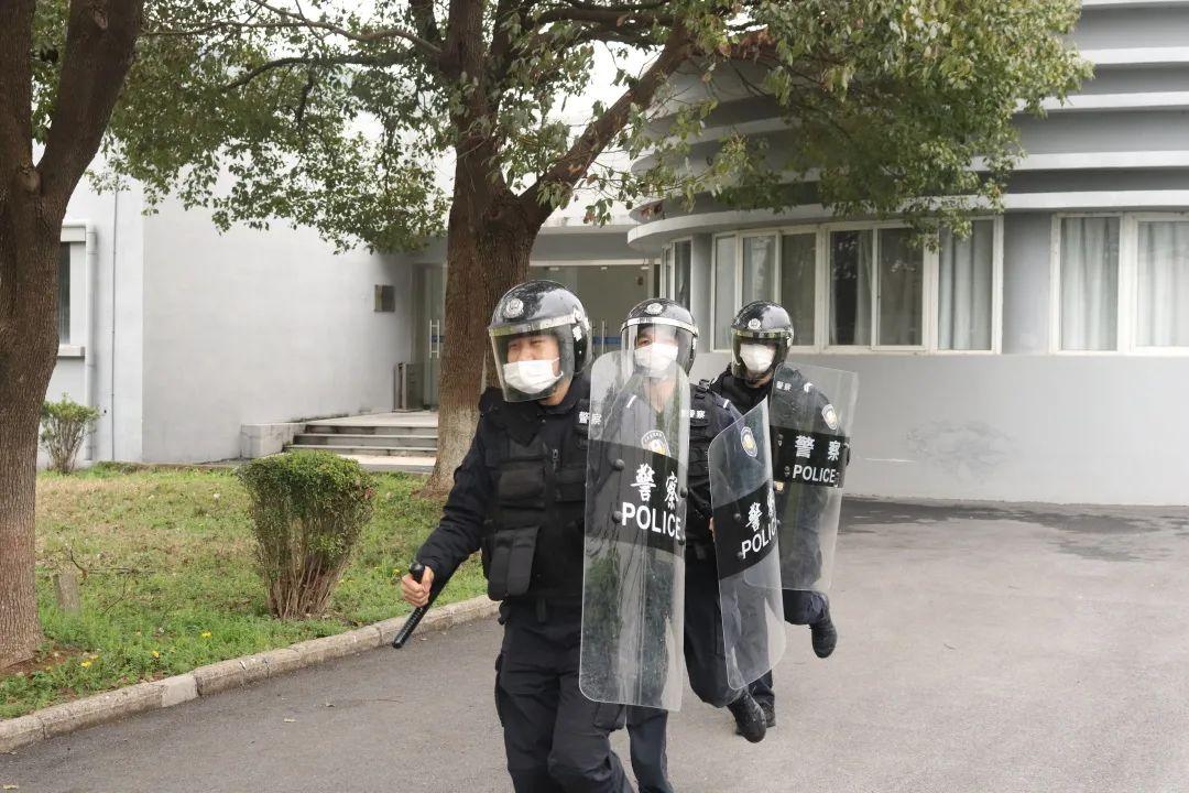 自然之旅中的心灵复苏与重生，失去的爱最新章节回顾与重生之路
