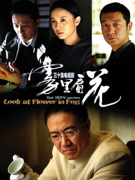 雾里看花，电视剧演员阵容与温情日常的爱的纽带