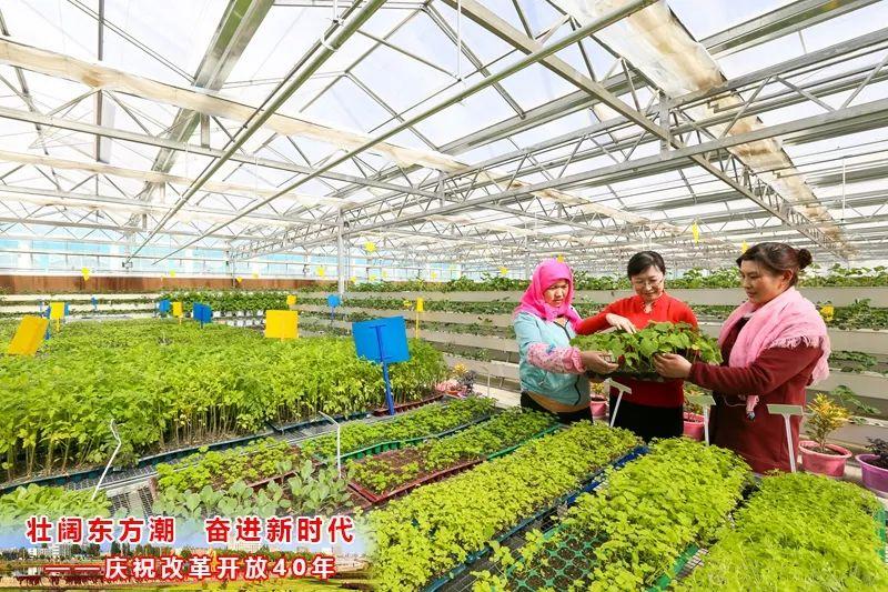 科技与音乐的完美融合，今年最新歌曲，开启全新生活乐章