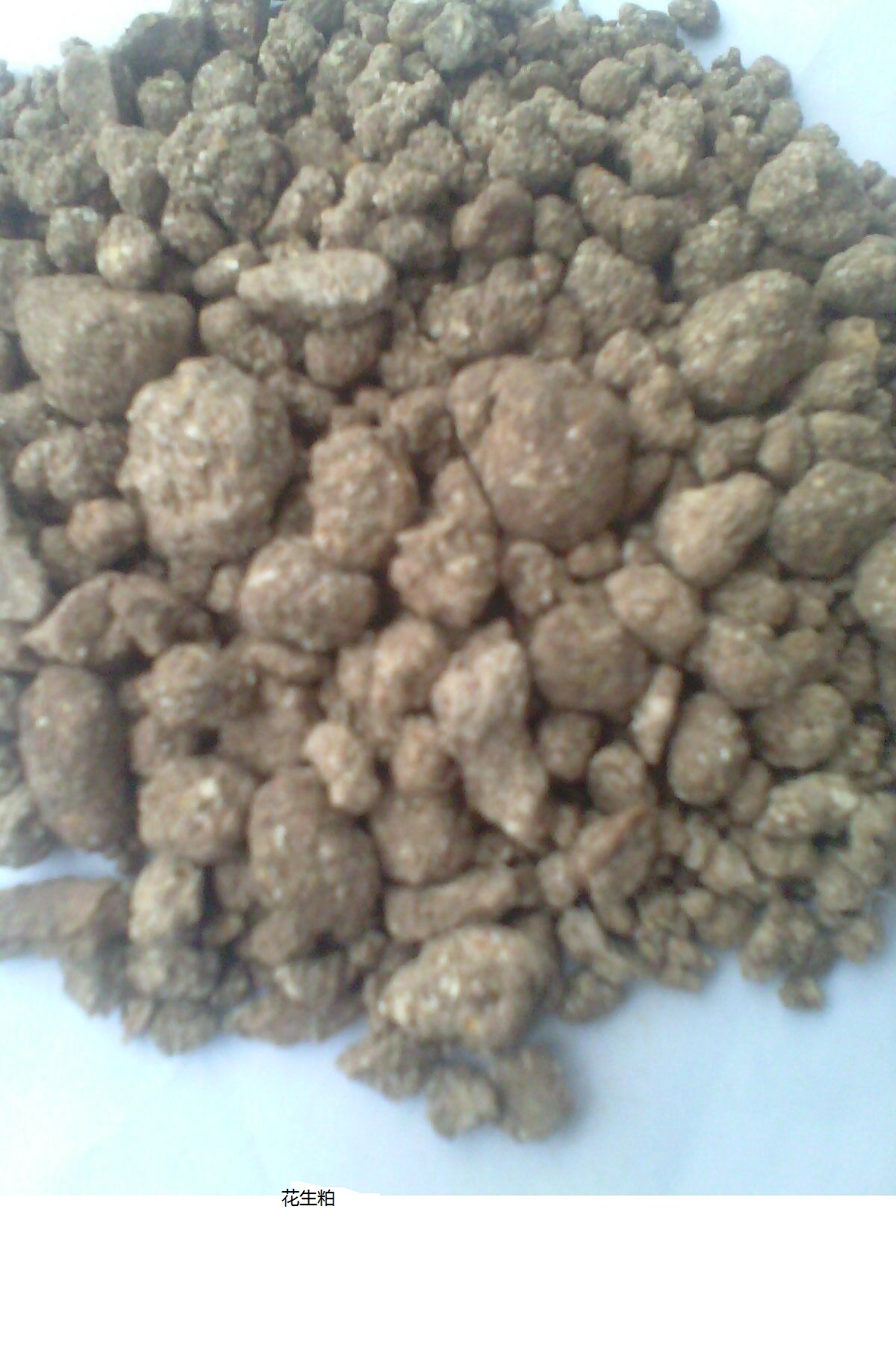 花生粕最新价格