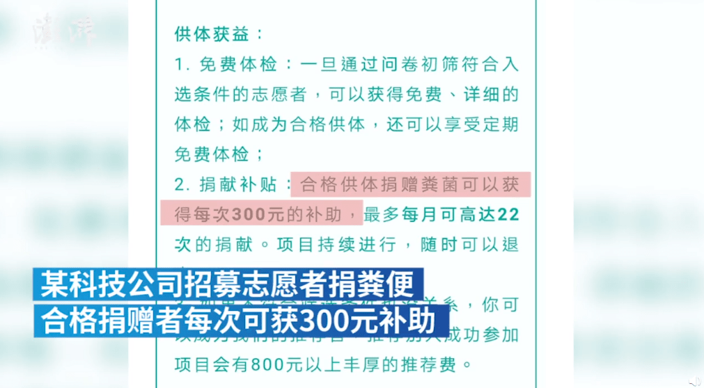 翼城招聘网最新招聘，小城求职奇遇与友情绽放之旅